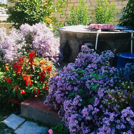 Bed and Breakfast House On Ashiq Cuma Street 8 à Şǝki Extérieur photo