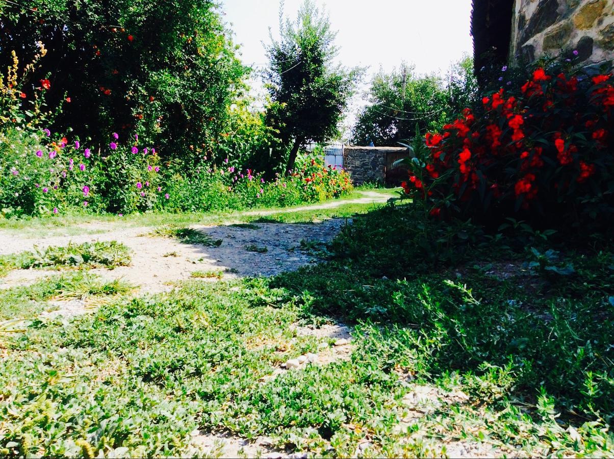 Bed and Breakfast House On Ashiq Cuma Street 8 à Şǝki Extérieur photo