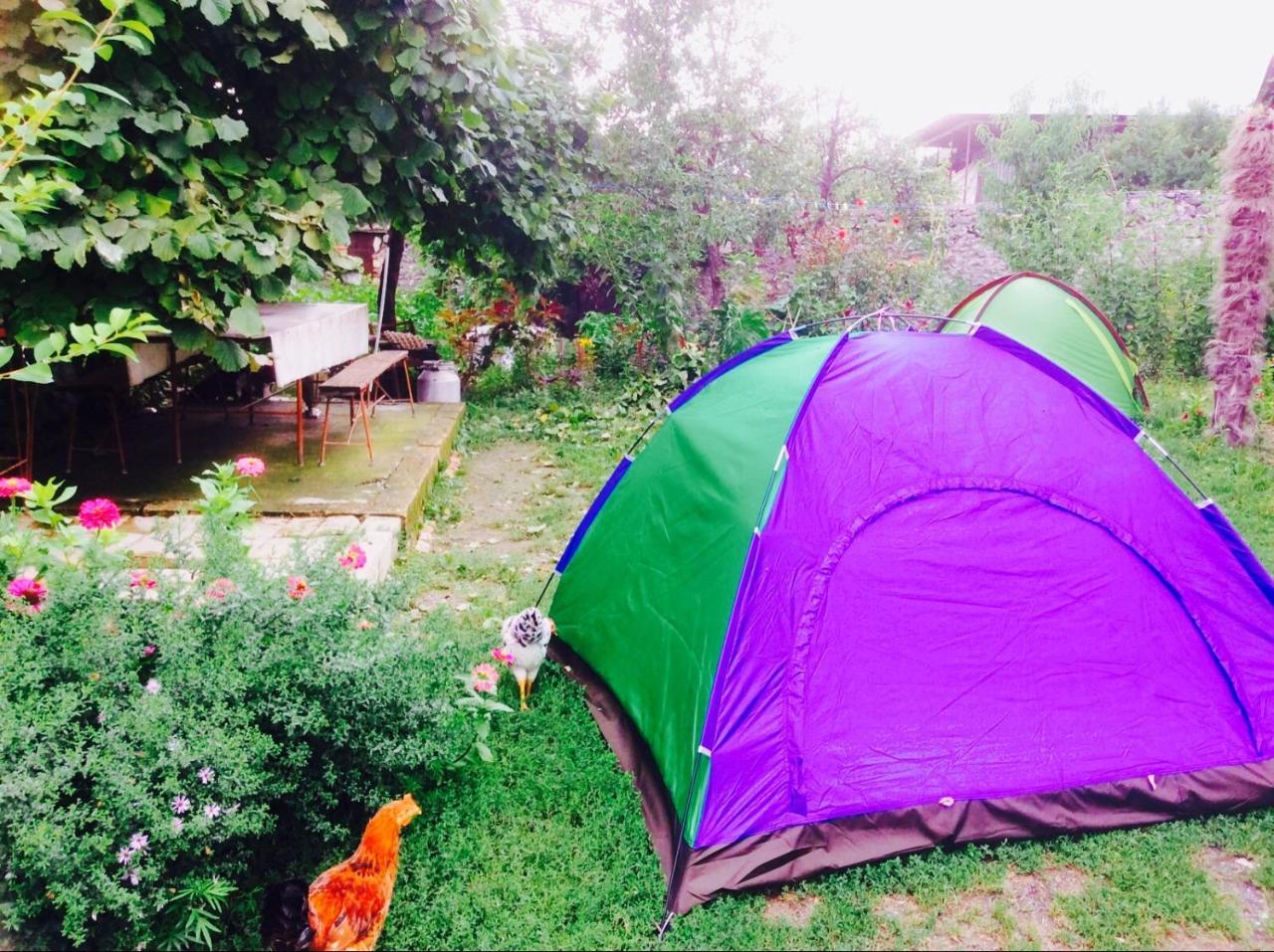 Bed and Breakfast House On Ashiq Cuma Street 8 à Şǝki Extérieur photo