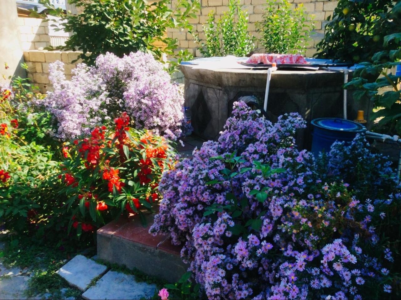 Bed and Breakfast House On Ashiq Cuma Street 8 à Şǝki Extérieur photo