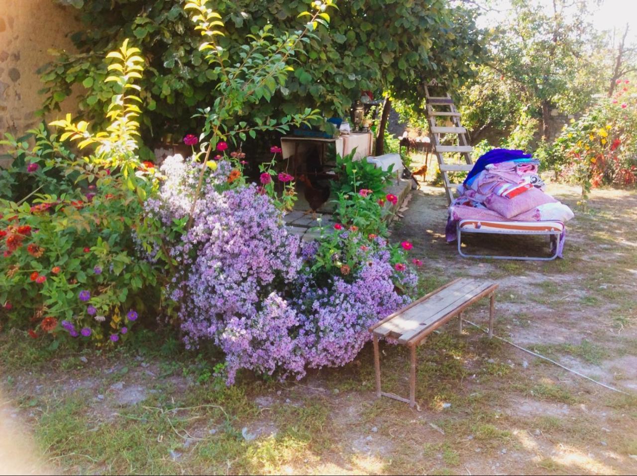 Bed and Breakfast House On Ashiq Cuma Street 8 à Şǝki Extérieur photo