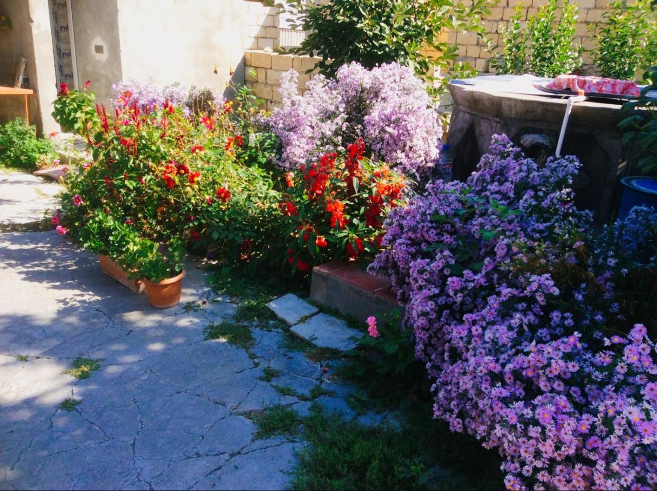 Bed and Breakfast House On Ashiq Cuma Street 8 à Şǝki Extérieur photo